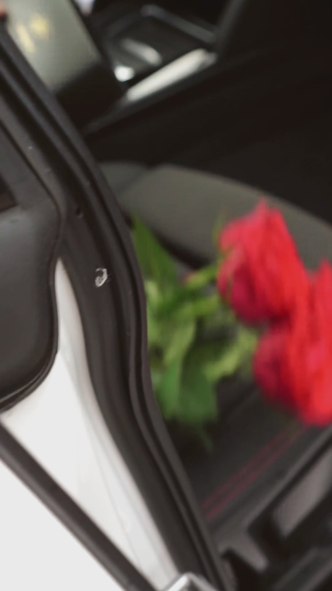 SATS: Ventilationsfäst Luftfräschare till Bilen