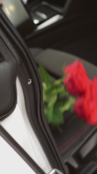 SATS: Ventilationsfäst Luftfräschare till Bilen